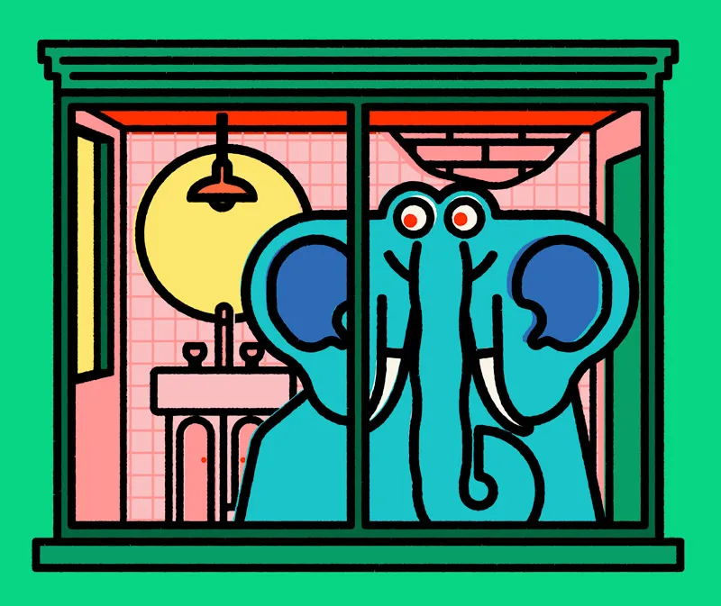 animal hotel